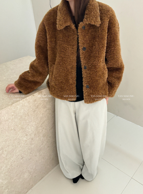 9759冬季韩版休闲宽松显瘦羊羔毛皮毛一体外套短款毛毛翻领上衣女