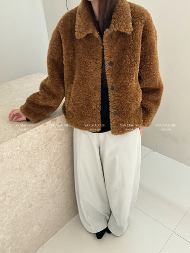 9759冬季韩版休闲宽松显瘦羊羔毛皮毛一体外套短款毛毛翻领上衣女