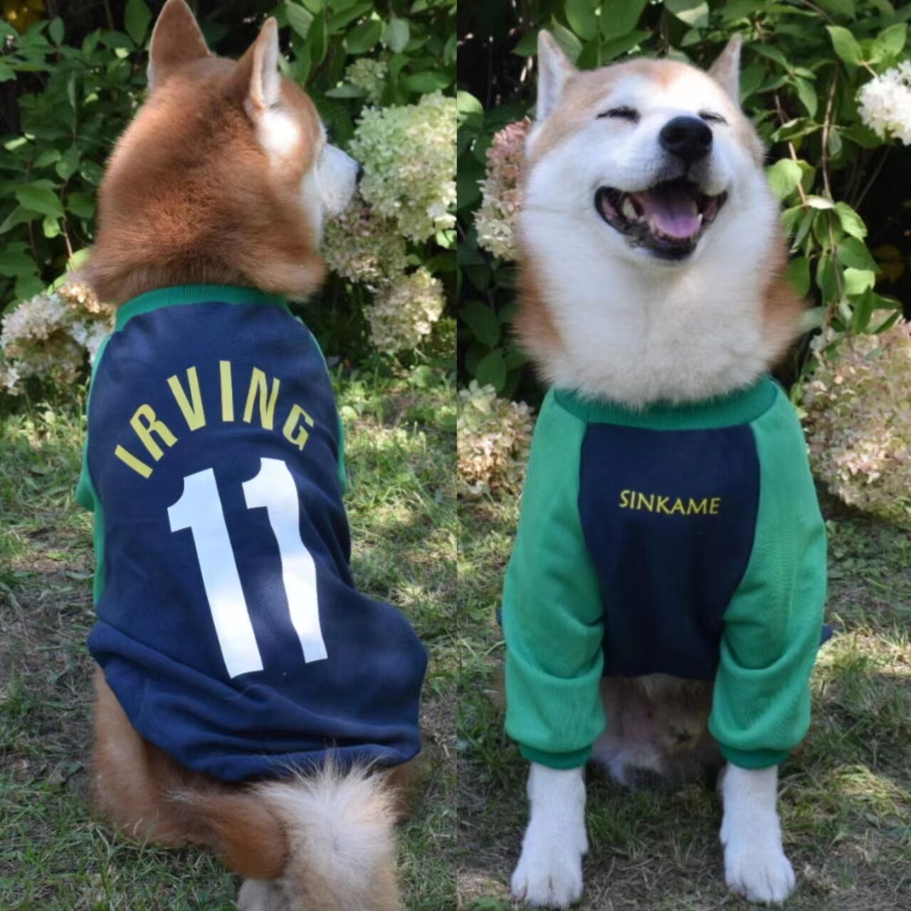 宠物篮球卫衣狗长袖篮球卫衣柴犬柯基边牧泰迪金毛古牧阿拉狗衣