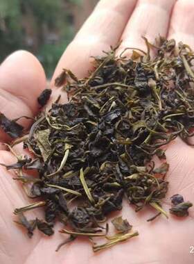 2025湘西雪峰山甜茶二级多穗石柯木姜叶柯野生自然甜