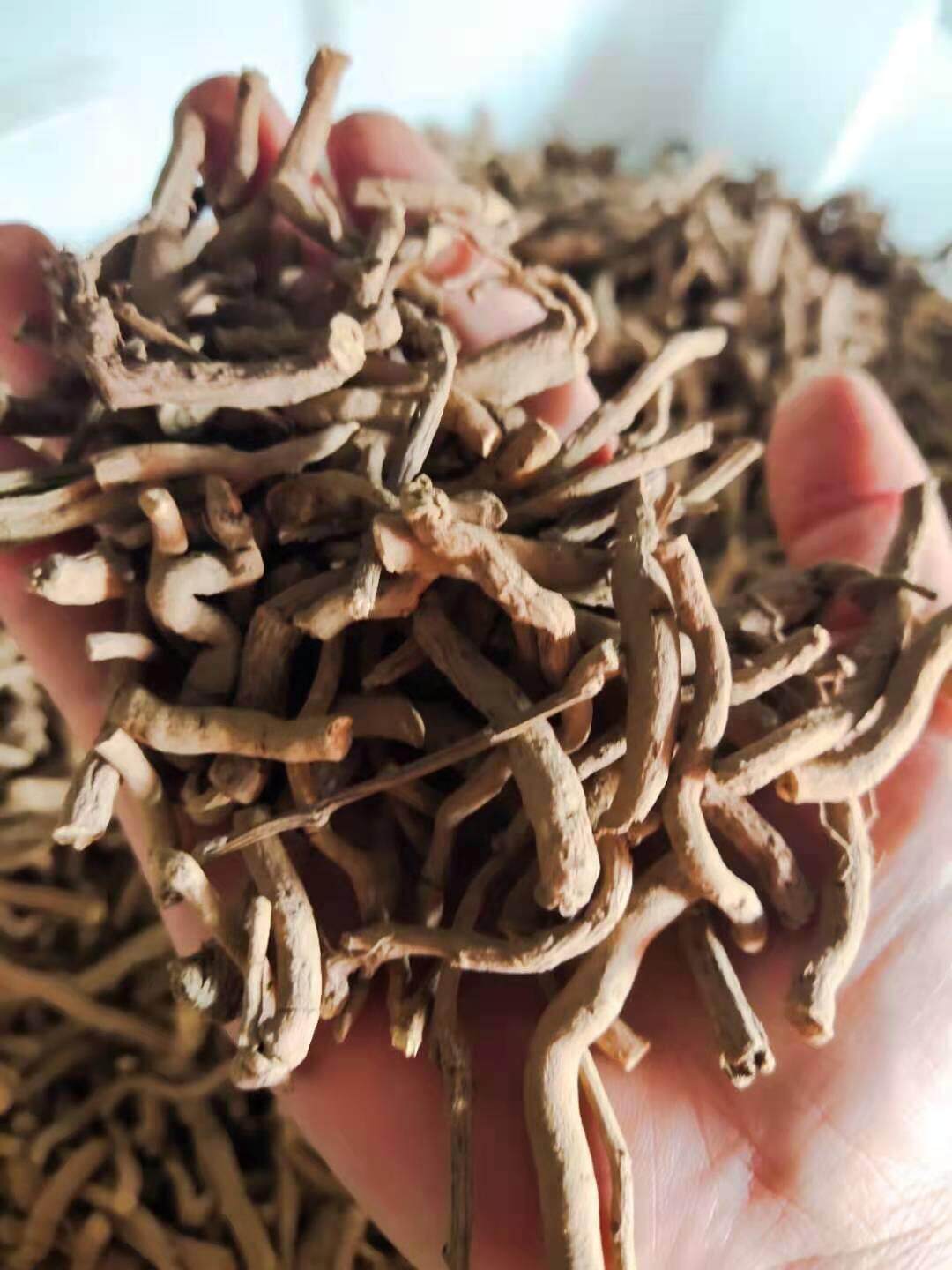 中药材青藤香蛇参马兜铃根兜铃根土青木香铁扁