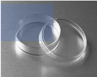 细胞培养皿 35mm LabServ 聚苯乙烯培养皿 无热源无菌 20/包 进口