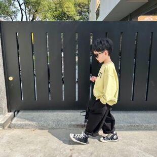 男童卫衣春秋款儿童春装2026新款男宝宝上衣韩版宽松童装春薄款潮