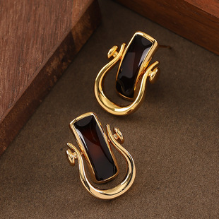 Horseshoe Luxury Earrings Vintage Hoops Enamel French