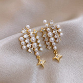 Star Sparkling Earrings Korean Zircon Pearl Luxury Studs