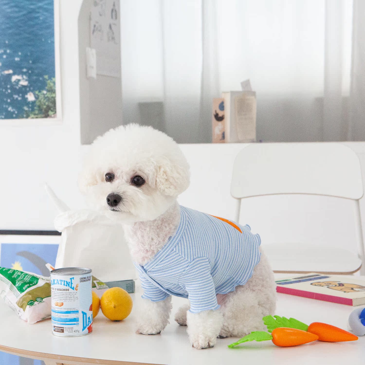 同款韩国dan可爱夏季短款狗狗