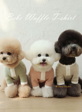 [现货]韩国chiot秋冬可爱复古弹力棉保暖螺纹狗狗内衬打底衫