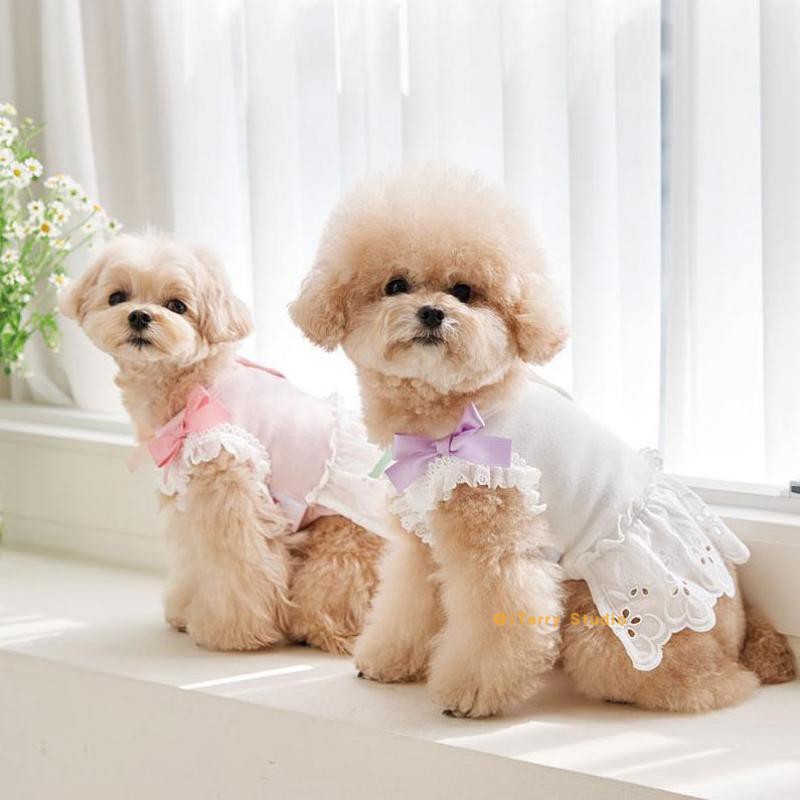 纯棉蝴蝶结背心连衣裙韩国狗狗