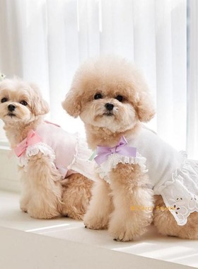 [现货]韩国its-sunnyoutside蝴蝶结刺绣狗狗纯棉连衣裙宠物背心裙