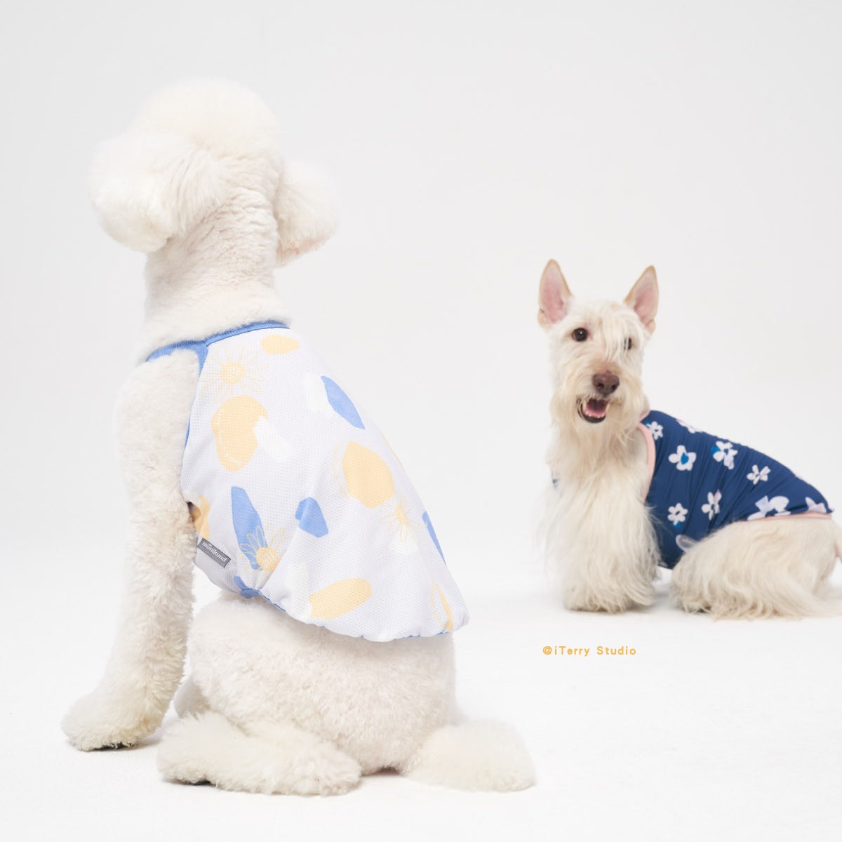 纳米狗狗专用防虫背心凉