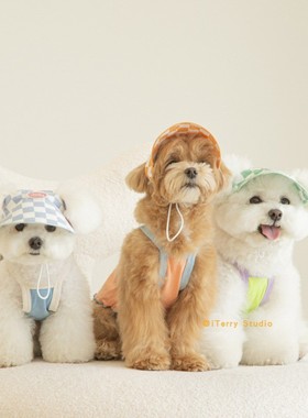 [现货]韩国teamong四季100%棉狗狗彩色背心宠物高弹无袖吊带通用