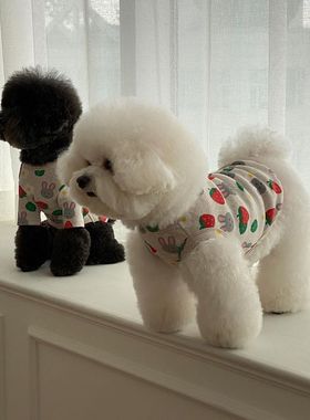 现货[Terry同款]韩国LikaLika可爱兔子背心比熊狗狗背心T恤