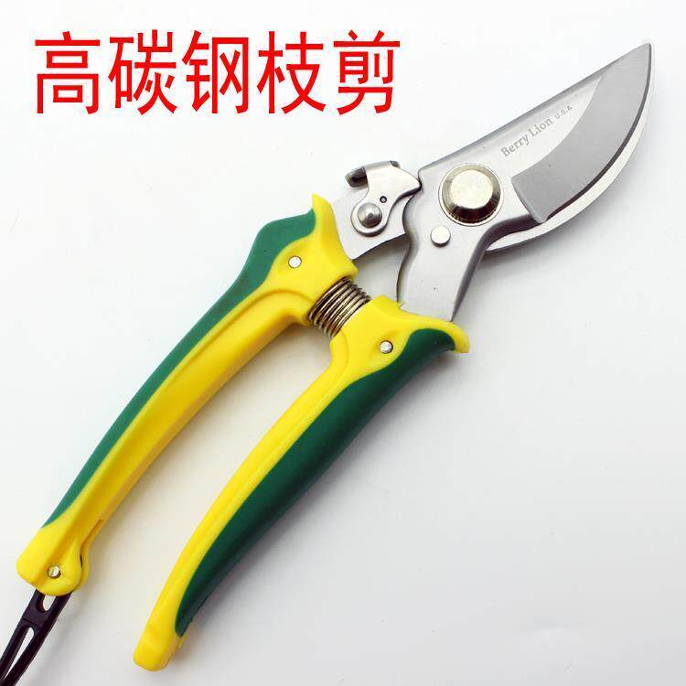 园艺剪刀 园艺工具 修枝剪 粗树枝剪 修花剪刀 花木修剪工具 枝剪