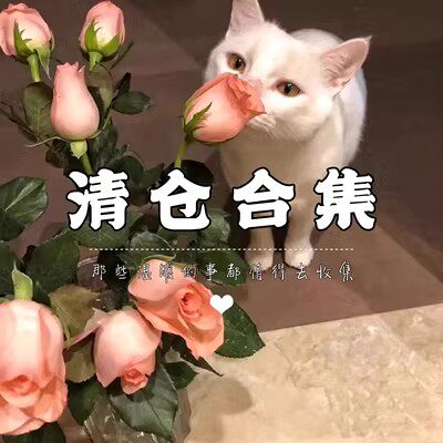 高级感手链项链戒指耳环