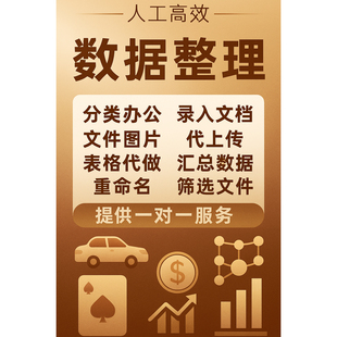 人工整理数据分类办公excel重命名图片归类表格文件录入筛选文档