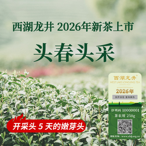 2026特级头采西湖龙井明前茶250g