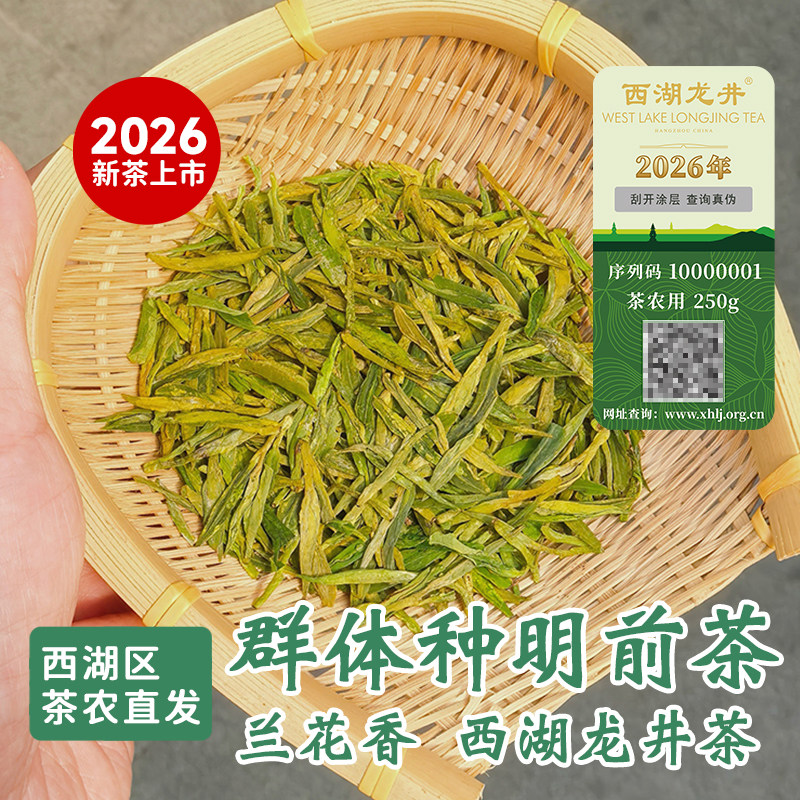 2026春茶群体种老茶树 新茶正宗明前茶特级西湖龙井杭州 带防伪标