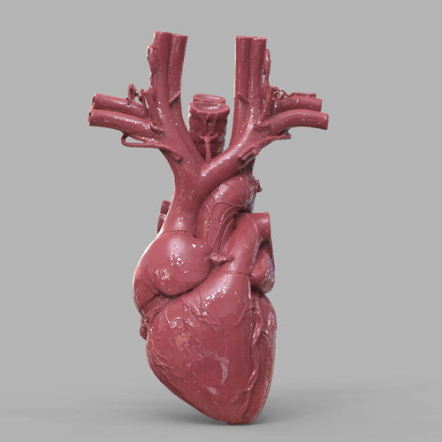 3d打印图纸模型素材OBJ心脏STL摆件圆雕图F2788