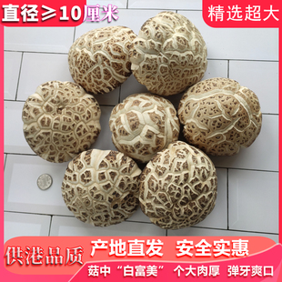 大冬花菇500g香菇超6-10-12cm剪脚天白冬菇菌蘑菇干货土特产礼品