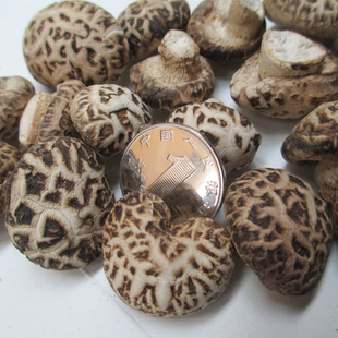 小冬花菇金钱菇500g干货非天白楼童子一口香菇农家上特产菌蘑菇