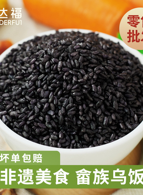 福建特产新鲜乌米饭生米250g糯米南烛叶制作酒店点心包乌粽子饭团