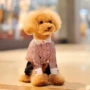 Breguet thú cưng quần áo chó Teddy sọc mỏng áo phong cách châu Âu quý ông ren Paris phức tạp - Quần áo & phụ kiện thú cưng phụ kiện cho chó poodle