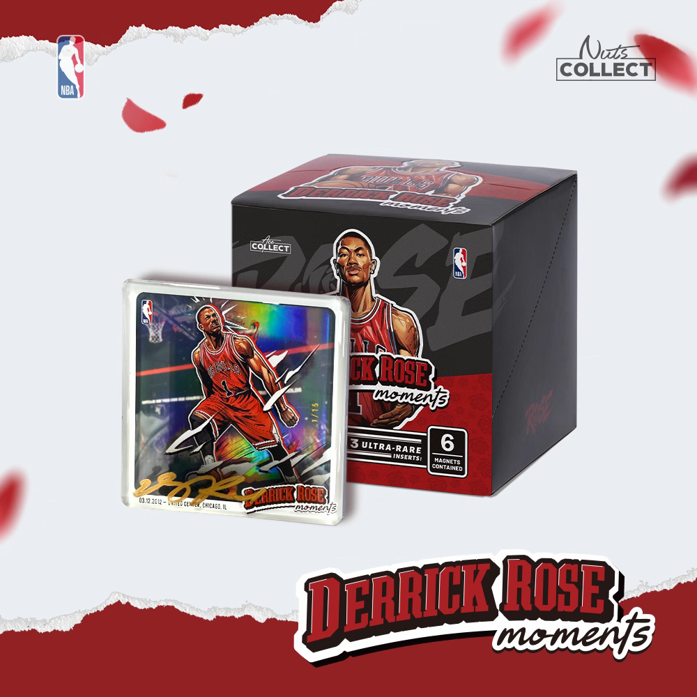 NutsCollect NBA官方授权 罗斯 磁吸贴 冰箱贴 明盒礼物 已拆封