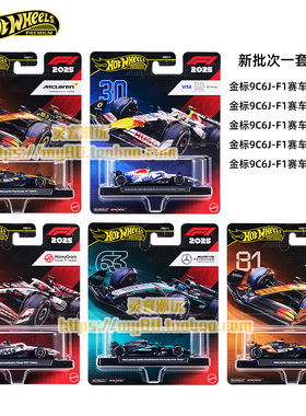 风火轮金标F1赛车红牛奔驰车队63迈凯伦4号哈斯31合金车模型HRV11