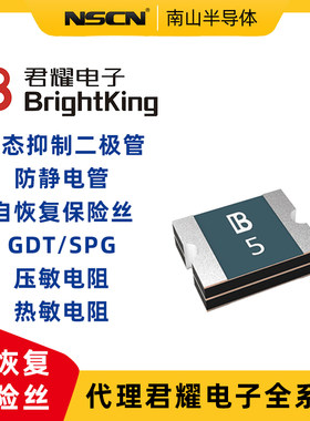 插件自恢复保险丝BK250-1000-DZ