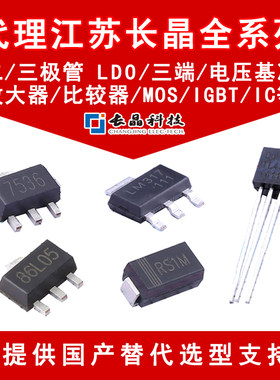 长晶肖特基二极管DSS310