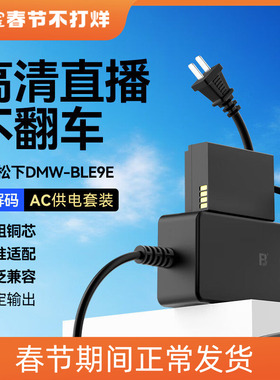 沣标BLF19E模拟假电池适用松下DMC-S5 S5M2X GH6/5/4/3 G9M2 GH5S