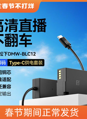 沣标DMW-BLC12模拟电池适用GX8松下G95/85 G7/6/5GH2假电池FZ2500
