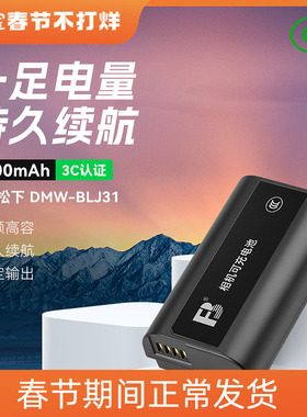 沣标DMW-BLJ31电池适用松下DC-S1 S1R S1H相机S1M S1K S1GK充电器