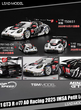 【领衔】预订|化骨龙 911 GT3 R #77 AO Racing 64车模型 MINIGT