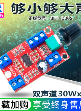 12v双声道d302数字功放模块