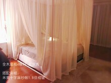 Полная рама от пола до потолка комара сетчатой ​​кровать шрифт с твердым деревянным бревенем