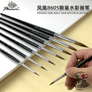 8605 凤凰水彩笔 动物混毛 画笔 8805 张学凯老师凯哥水彩推荐