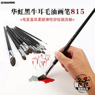 韩国进口Hwahong华虹815系列黑牛耳毛半圆头油画笔 丙烯笔 水粉笔