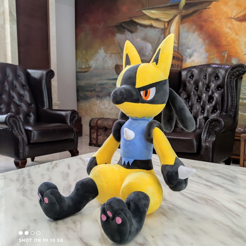 利欧 神奇宝贝 口袋妖怪 精灵宝可meng 订做毛绒玩具吉祥物