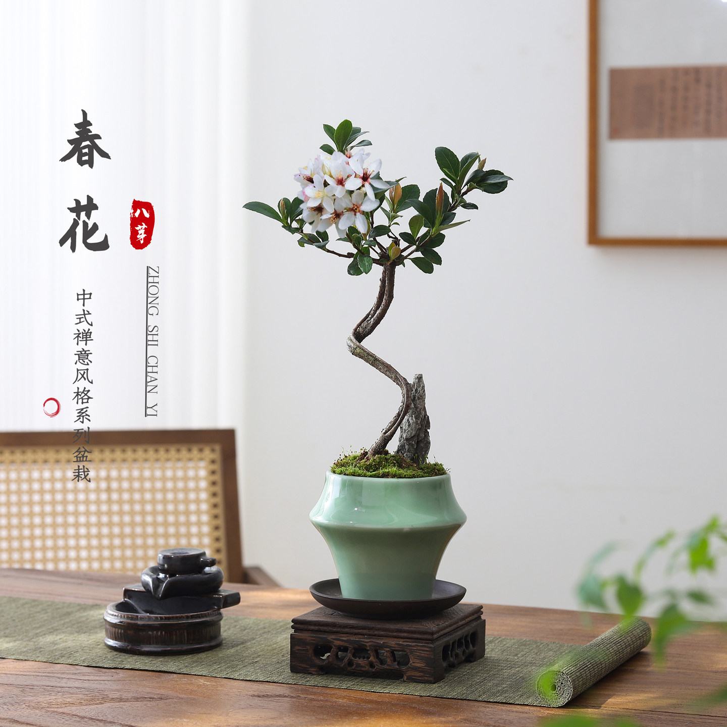 春花盆栽室内造型绿植办公内茶桌开花中式净化空气好养活花卉盆景