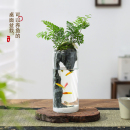 狼尾蕨盆栽室内迷你微景观生态瓶小鱼缸办公桌面绿植好养活送礼物