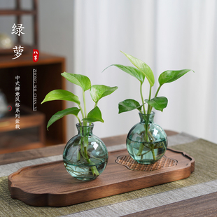 水培绿萝铜钱草懒人绿植物盆栽办公室内书房茶桌面花卉好养小盆景