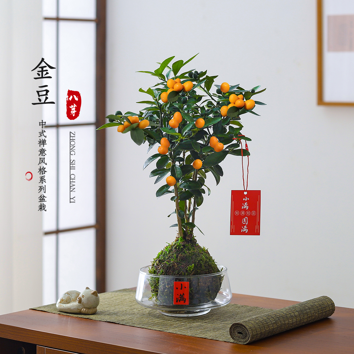 金豆盆栽带果室内绿植