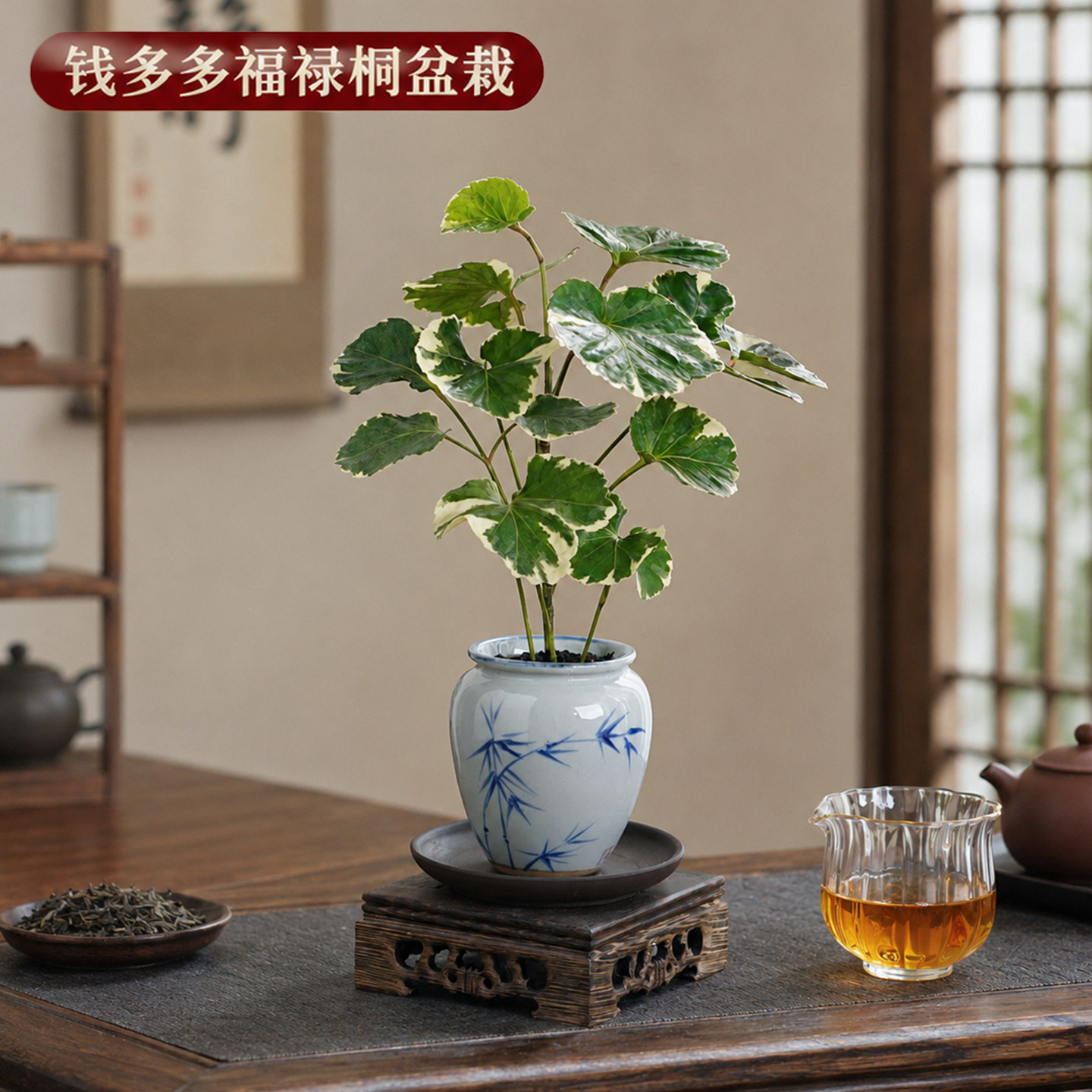 油画感花叶福禄桐好养旺家运图片