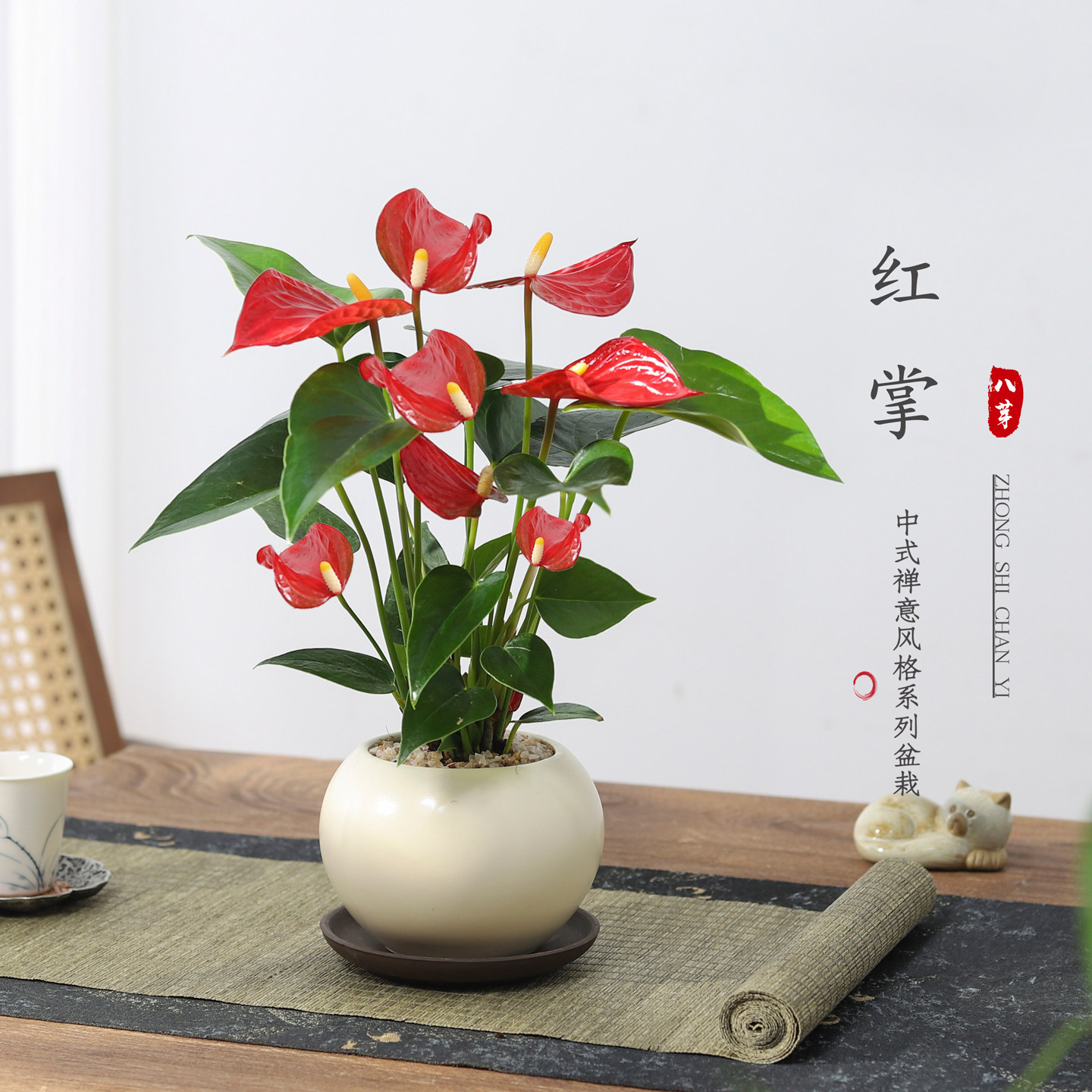 红掌盆栽室内客厅绿植花卉懒人四季好养植物办公室内工位桌面盆景