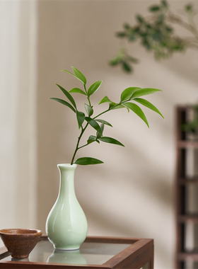 竹柏铜钱草绿萝水培花卉微盆栽水生养护桌面室内意境四季水生植物