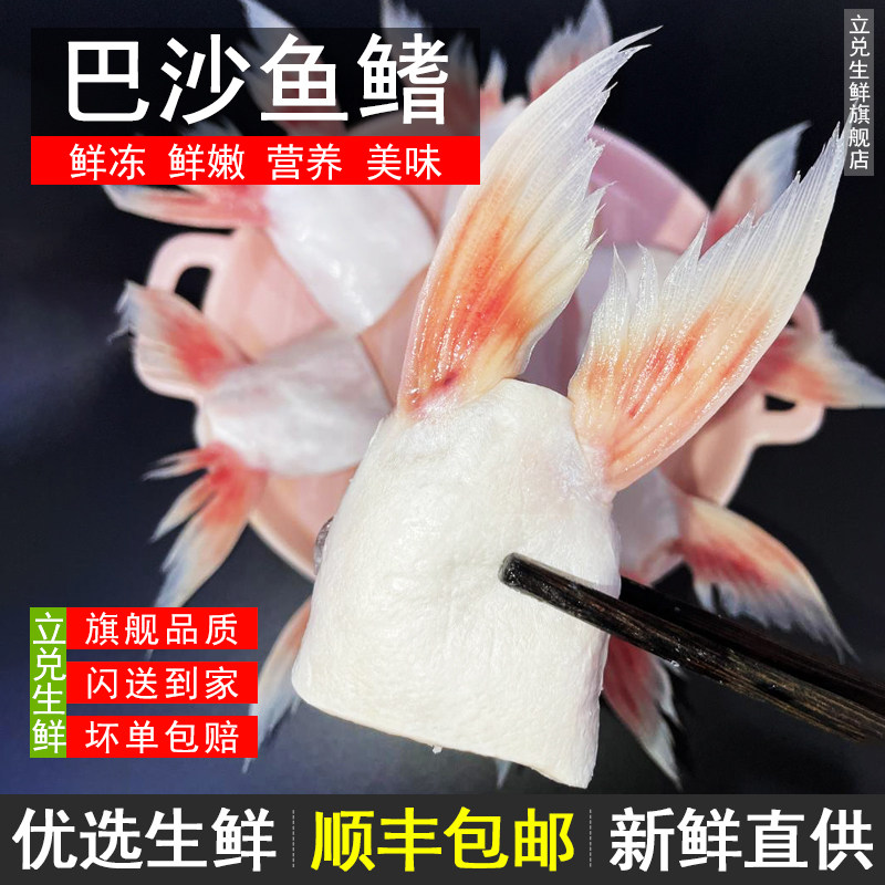 冷冻巴沙鱼鱼鳍鱼划水鱼油海鲜鱼翅鱼下巴生鲜鲜冻鱼肥油水产商用