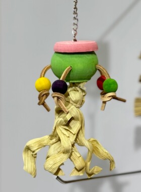 索皮鹦鹉玩具 觅食罐子 啃咬觅食小型鹦鹉天然材料  CG