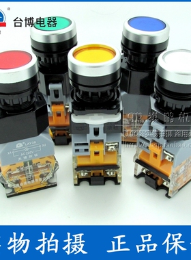 天博按钮 带灯带锁按钮开关 LAY39C-11TD 带灯自锁按钮 台博电器