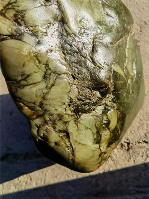 12.91公斤新疆和田玉籽料带翠沙枣青原石